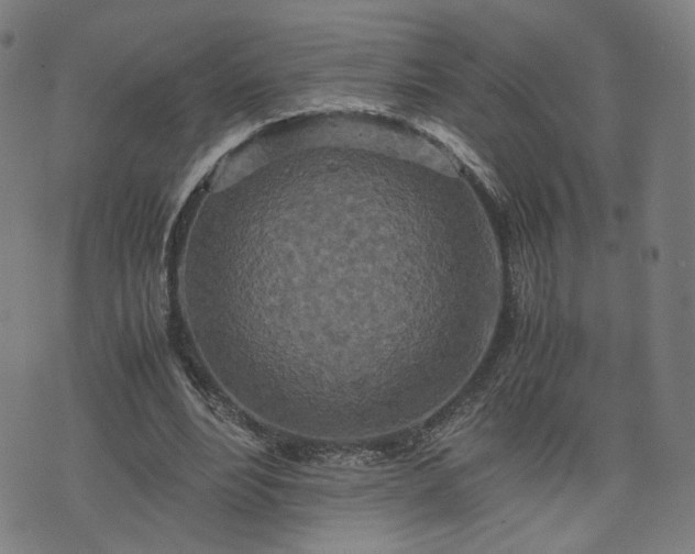 X0000075810488200609221312