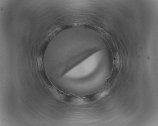 X0000075810523200609221311