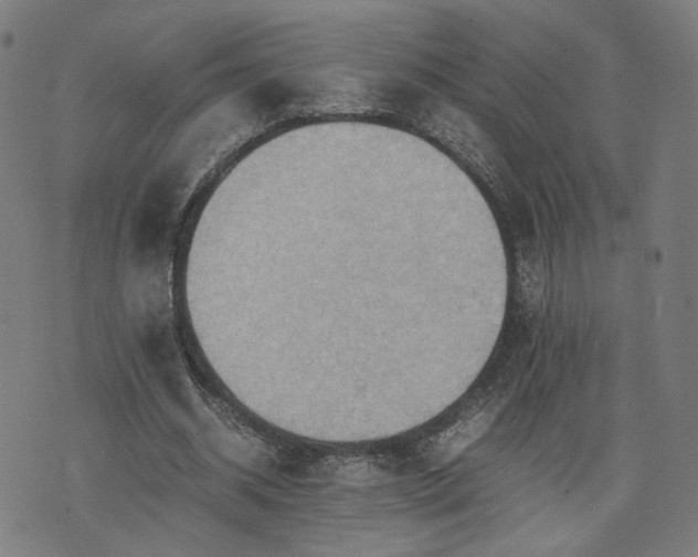 X0000075810534200609221311