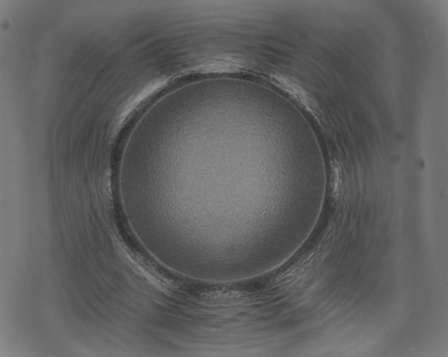 X0000075810535200609221311