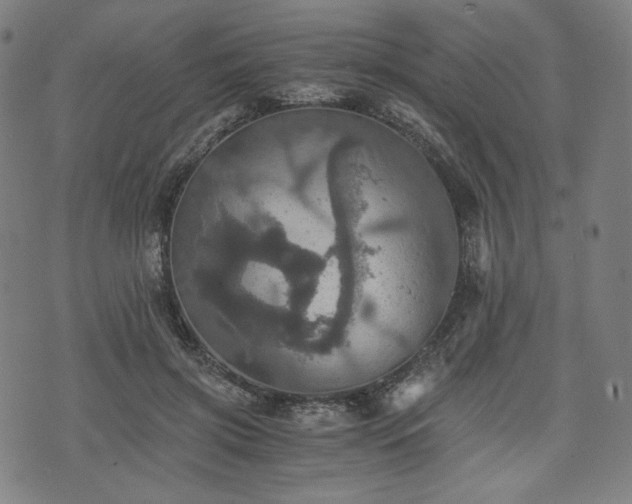 X0000075810549200609221311