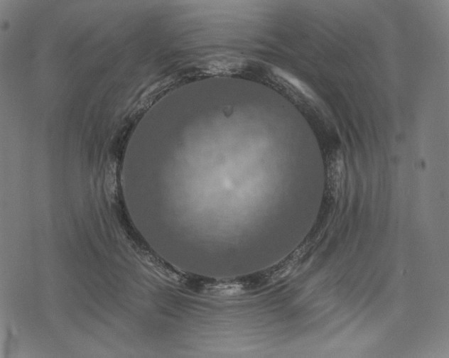 X0000075810554200609221311