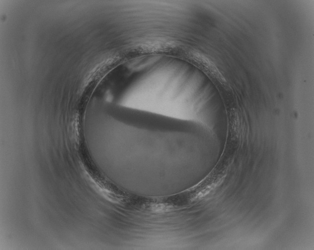 X0000075810590200609221310