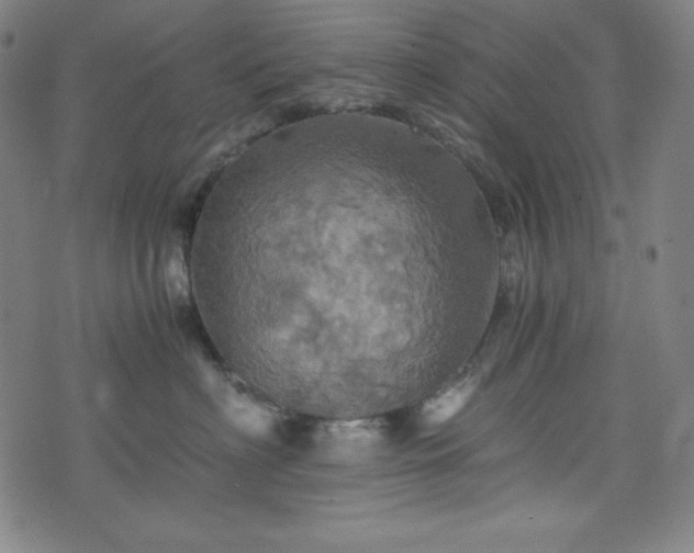 X0000075810622200609221310