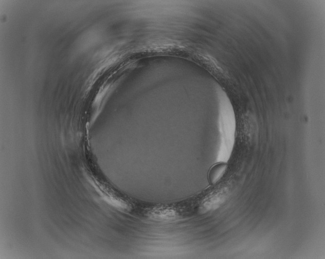 X0000075810640200609221309