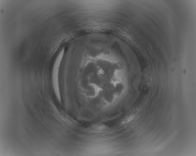 X0000075810642200609221309