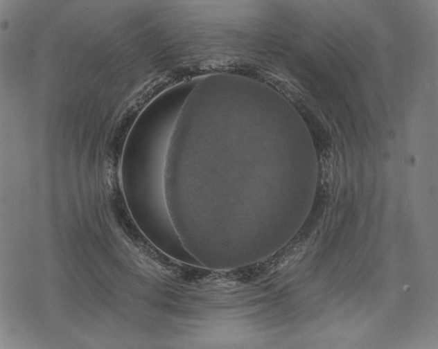 X0000075810648200609221309