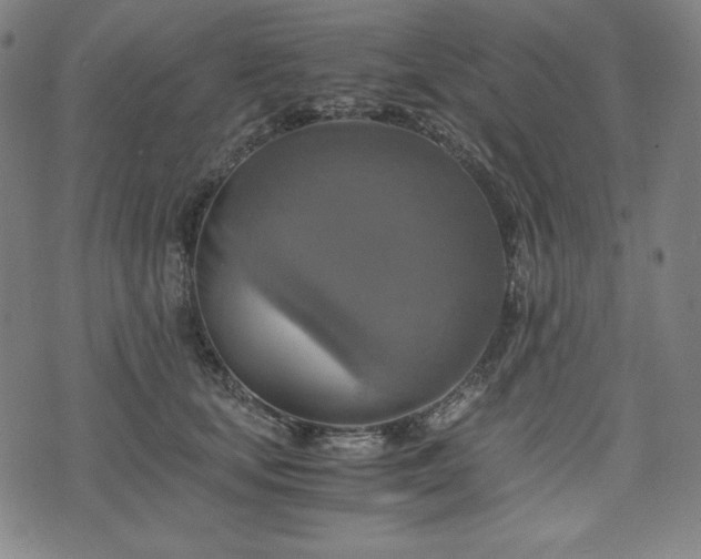 X0000075810659200609221310