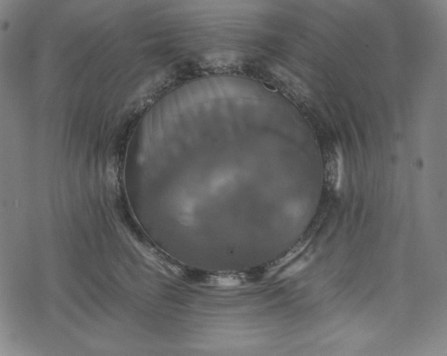 X0000075810662200609221310