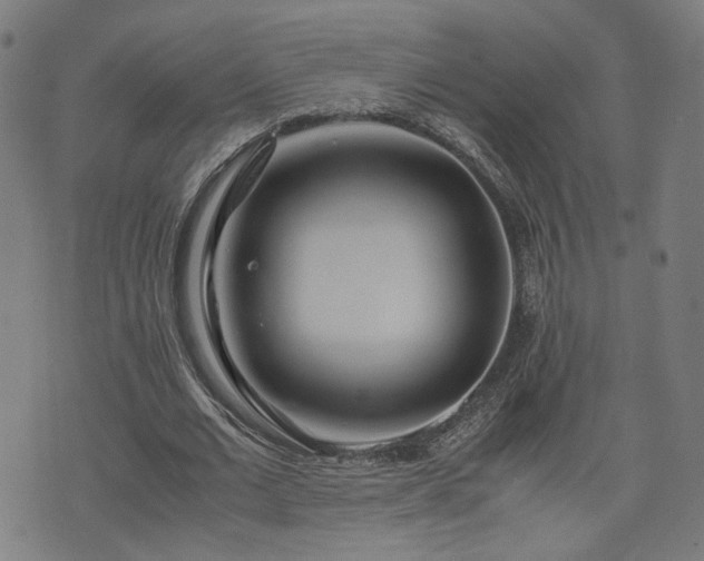 X0000075810677200609221309