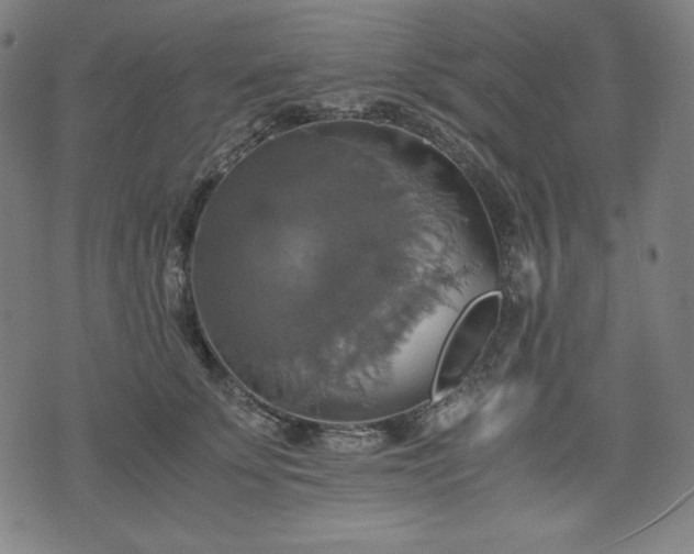 X0000075810707200609221308