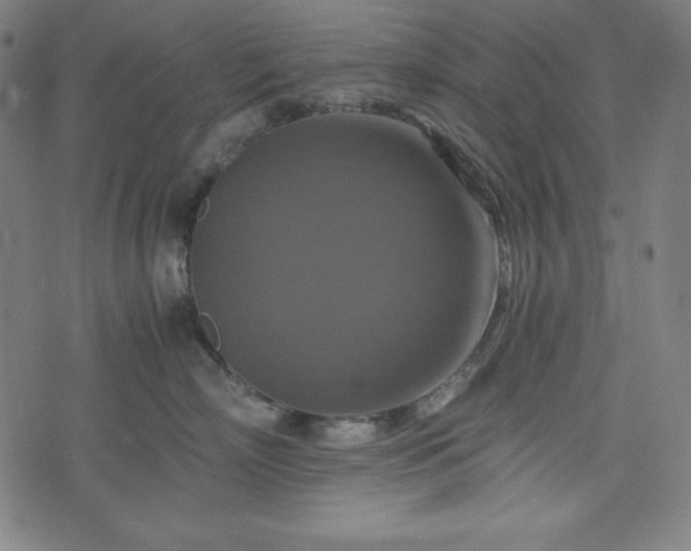X0000075810718200609221308