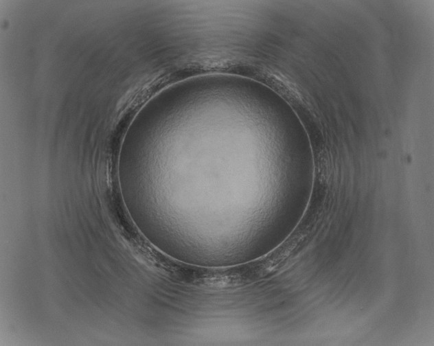 X0000075810740200609221308