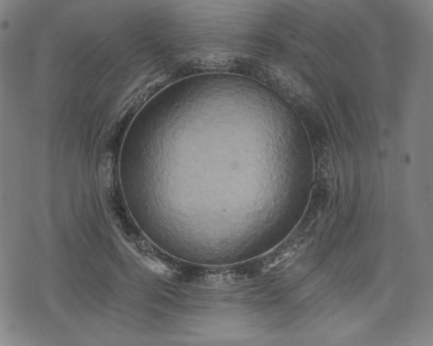 X0000075810744200609221308