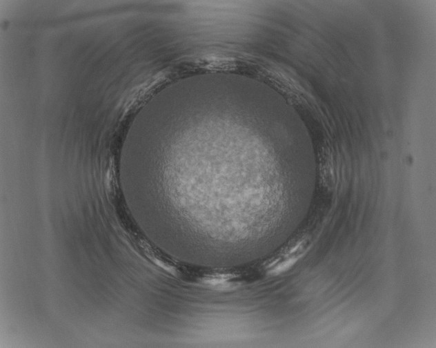X0000075810748200609221308