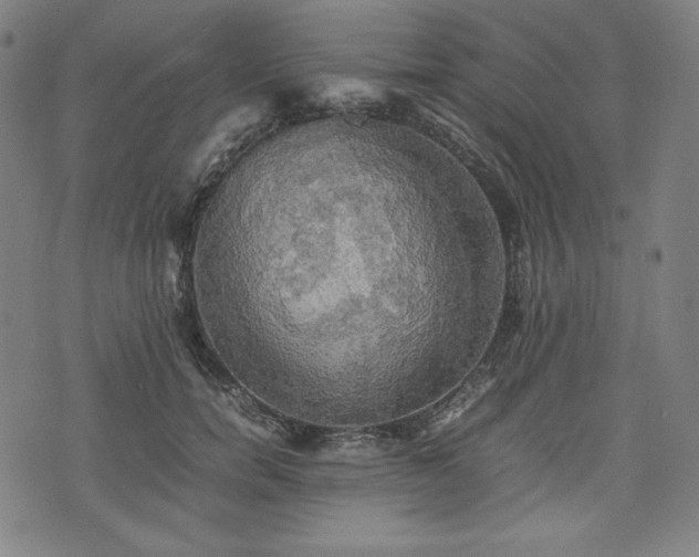 X0000075810750200609221308