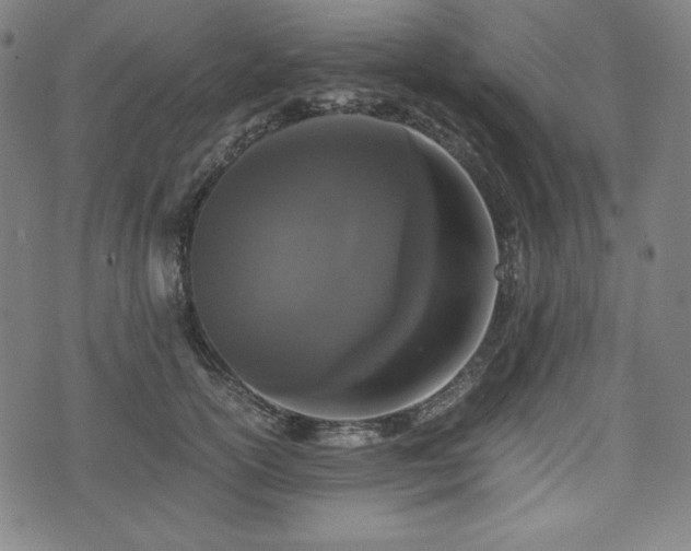 X0000075810754200609221308