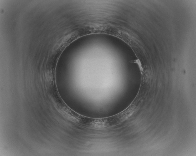 X0000075810756200609221308