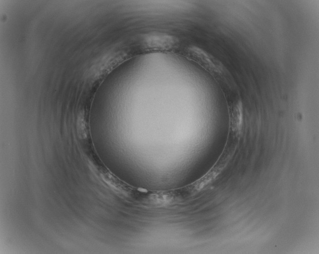 X0000075810764200609221308
