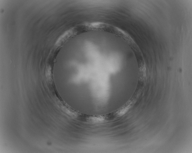 X0000075810765200609221308