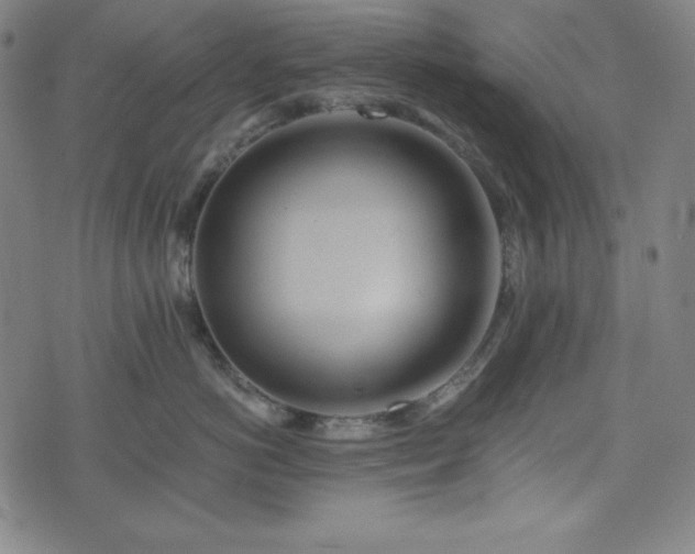 X0000075810766200609221308