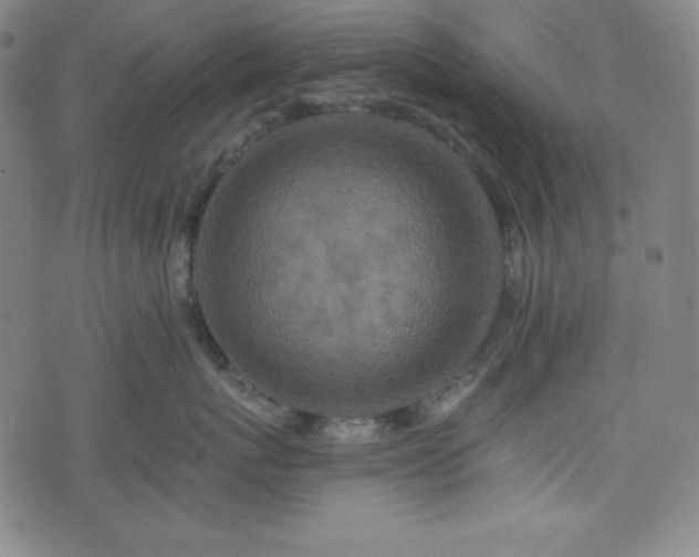 X0000075810767200609221308