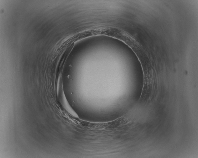 X0000075810773200609221307