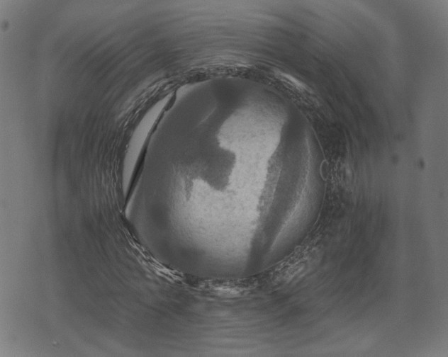 X0000075810774200609221307