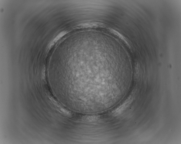X0000075810778200609221307