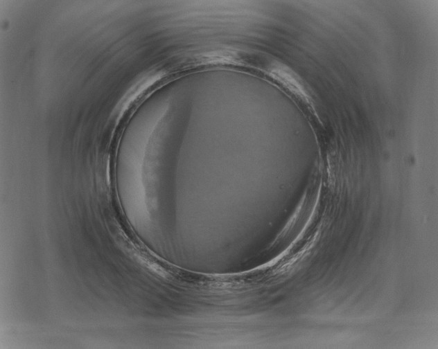X0000075810790200609221307