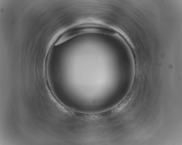 X0000075810815200609221307