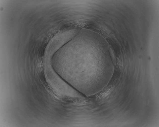 X0000075810818200609221306