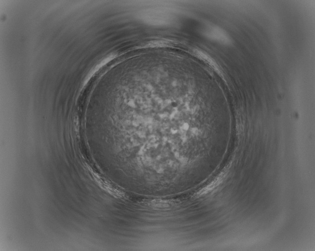 X0000075810827200609221306