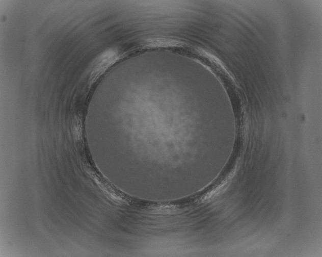 X0000075810833200609221306