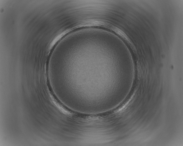 X0000075810842200609221306