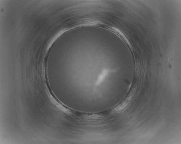 X0000075810851200609221306