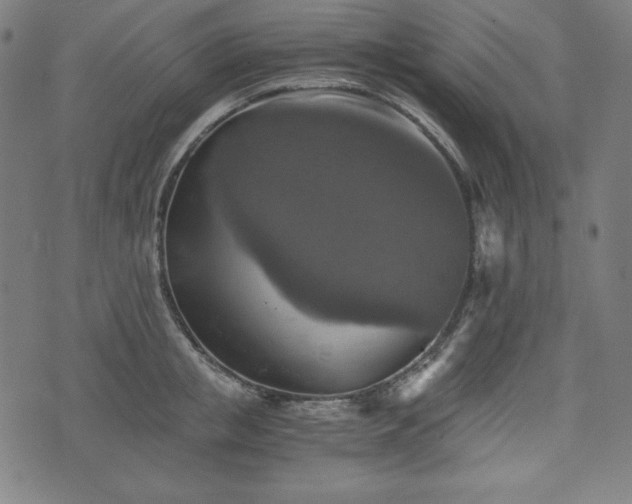 X0000075810853200609221306