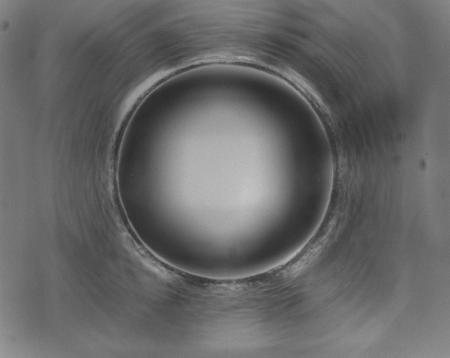 X0000075810854200609221306