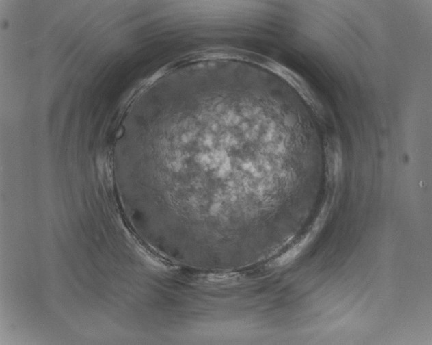 X0000075810857200609221306