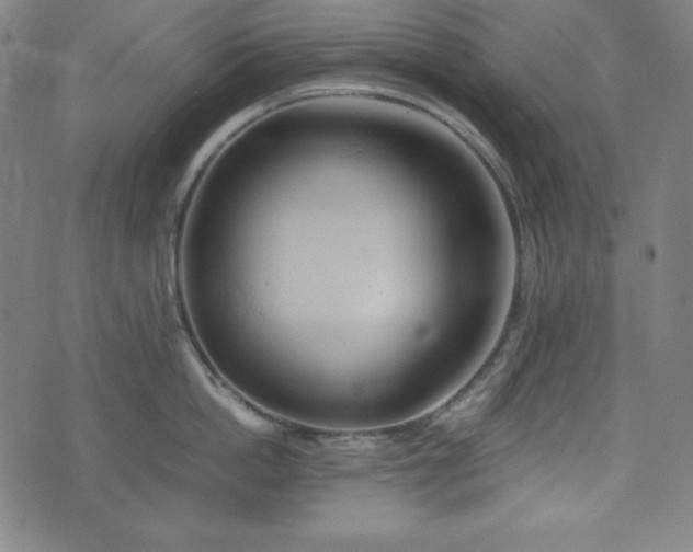 X0000075810862200609221307