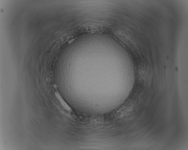 X0000075810865200609221306