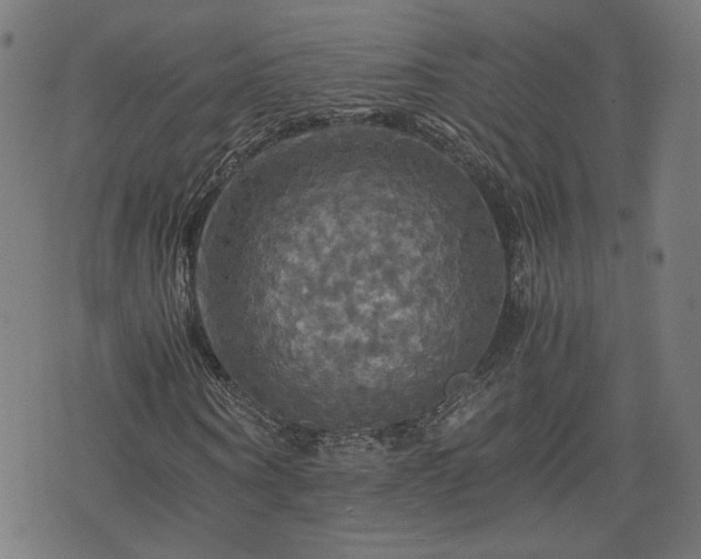 X0000075810866200609221306