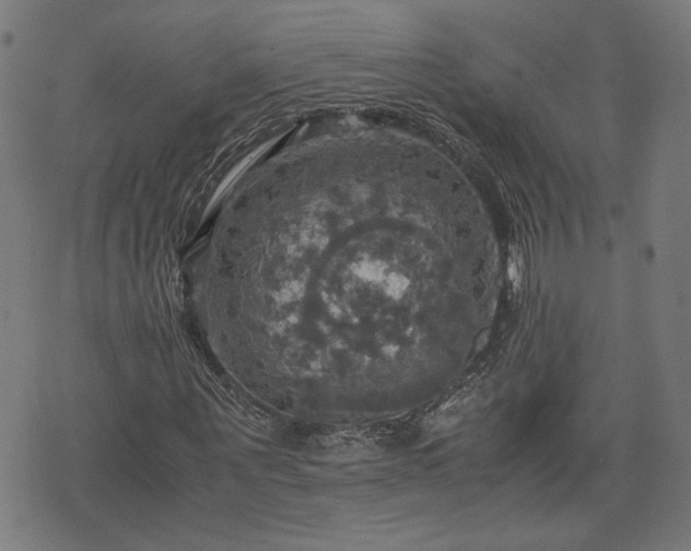 X0000075810867200609221306