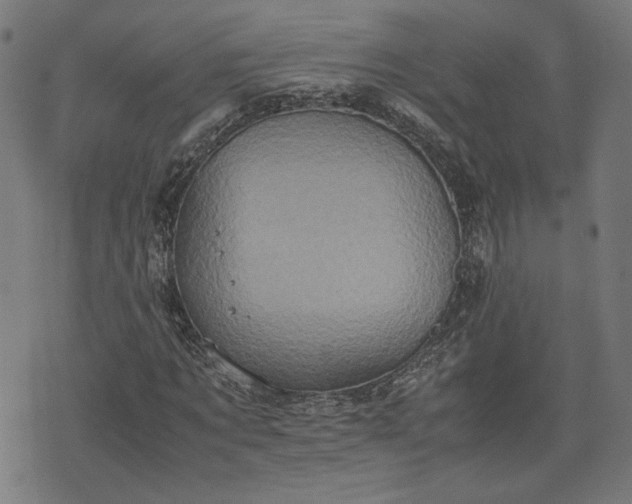 X0000075810869200609221306