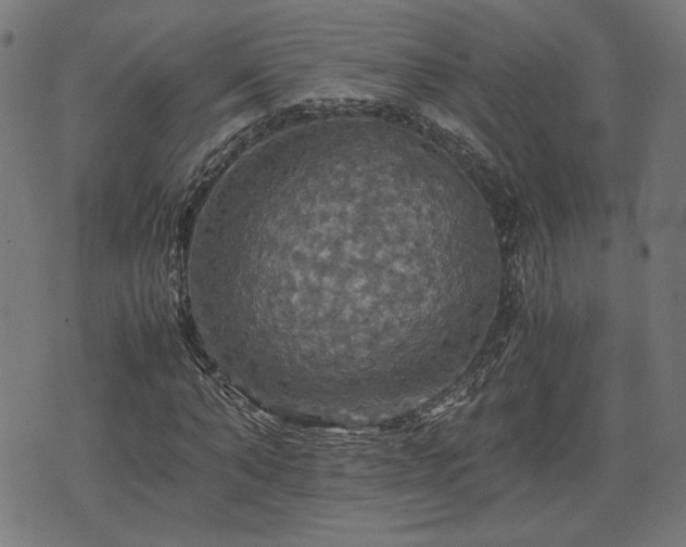 X0000075810870200609221306