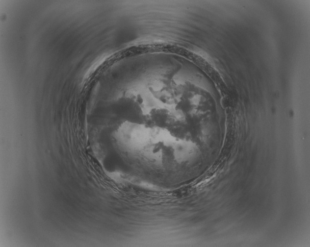 X0000075810871200609221306