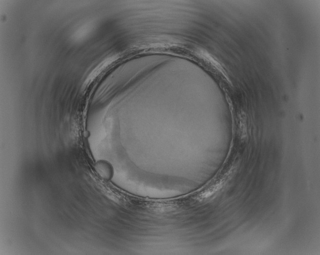 X0000075810874200609221306