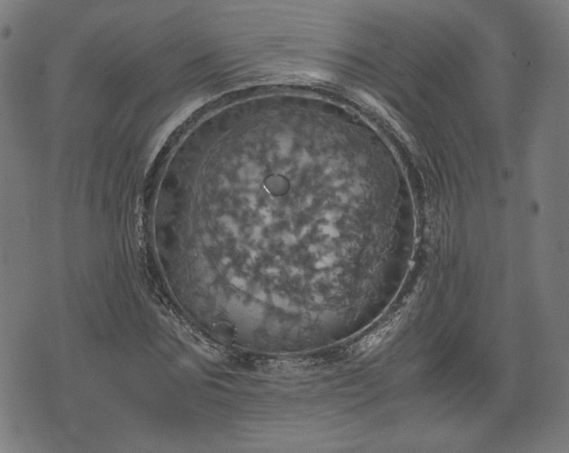 X0000075810875200609221306