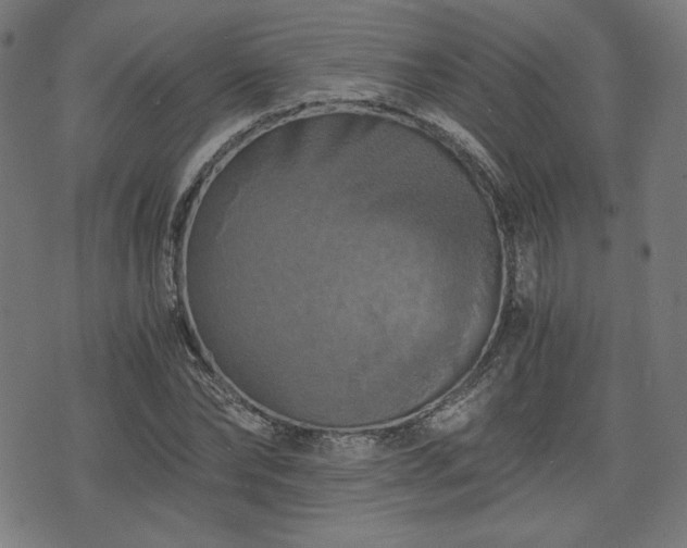 X0000075810878200609221306