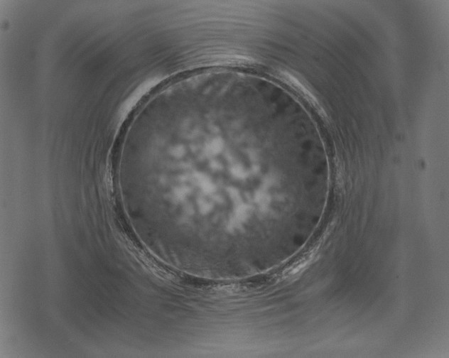 X0000075810883200609221306